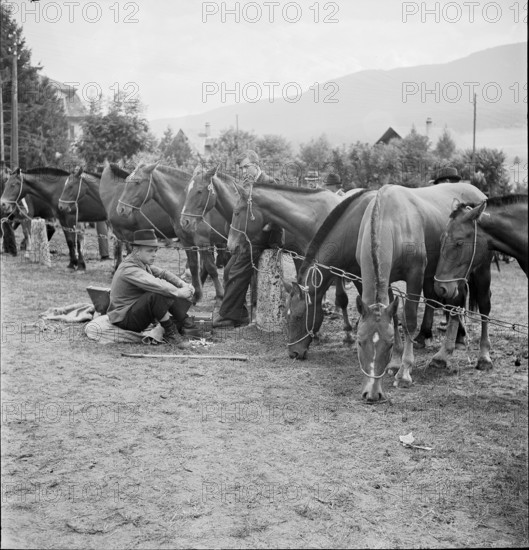 Horse market of Chaindon-Reconvilier, 1941.