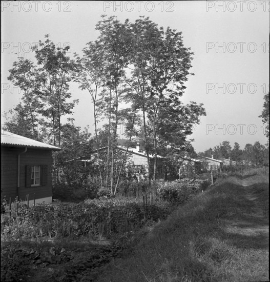 Laupen: Residential buildings for working-class familiies; 1939.