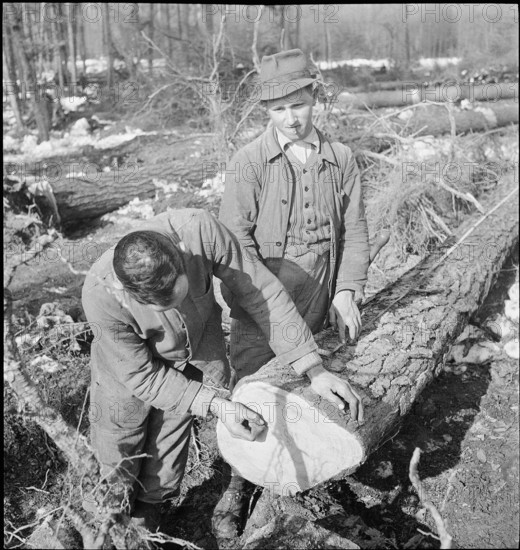 Land reclamation, extend area of cultivable land; ; clearing; 1942.