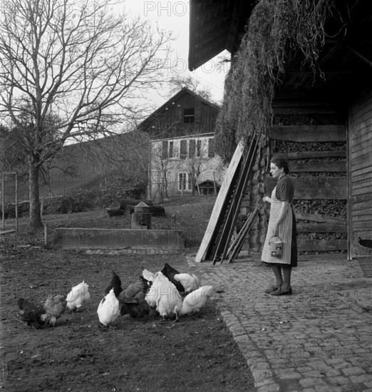 Poultry farm in Romanshorn, 1941.