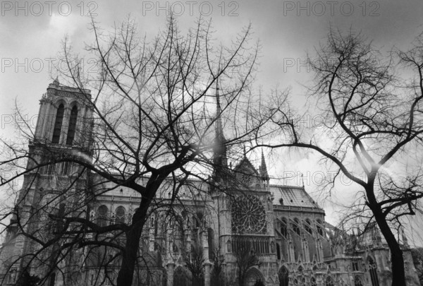 1975, Paris, Notre Dame Cathedral.
