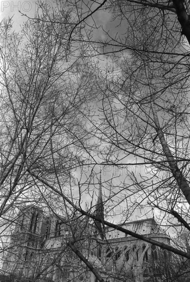 1975, Paris, Notre Dame Cathedral.