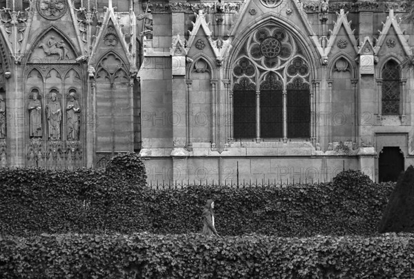 1975, Paris, Notre Dame Cathedral.