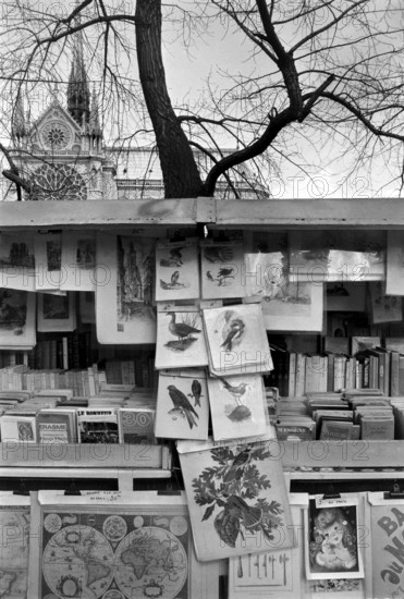 1975, Paris, Lungoseine. bouquiniste.