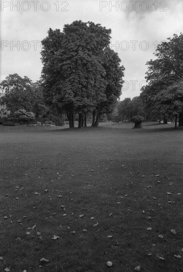 1975, Paris, Tuileries Gardens.