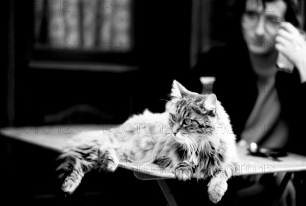 1975, Paris, bolulevard, bistro, bar, cafe. people.