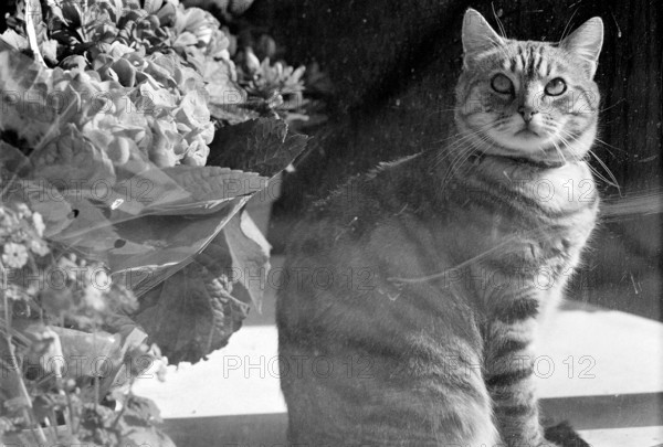 1975, Paris, Marais, shop windows