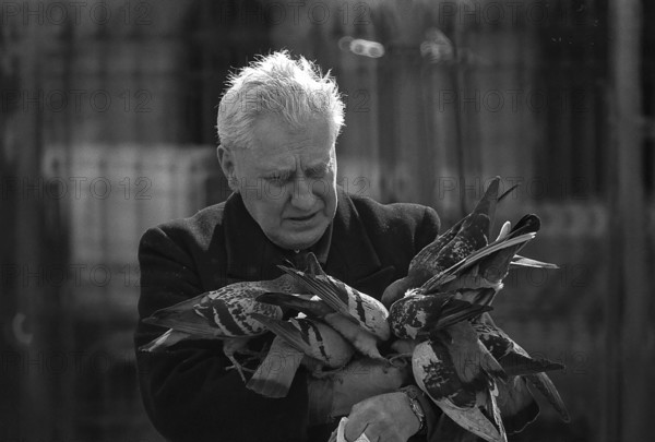 1975, Paris, Marais,  old man with pigeons.