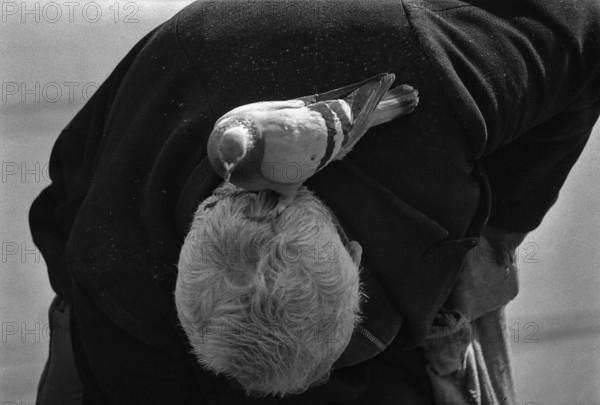 1975, Paris, Marais,  old man with pigeons.