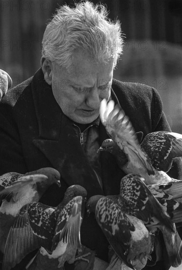 1975, Paris, Marais,  old man with pigeons.