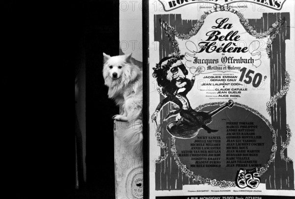 1975, Paris, Rive droite. La Belle Halene.