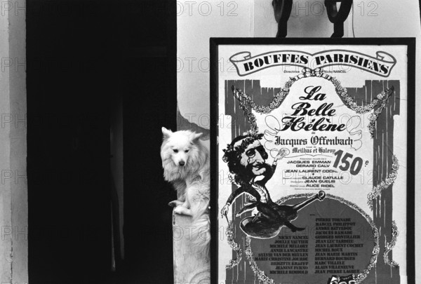 1975, Paris, Rive droite. La Belle Halene.