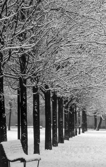 1975, Milan, park with snow.