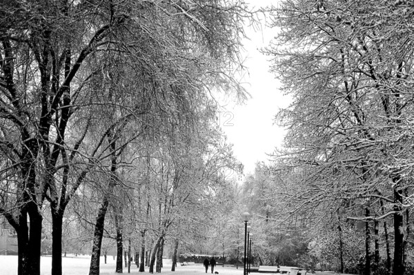 1975, Milan, park with snow.