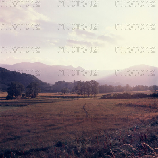 Nature, Italy, region of Abruzzo, 1975 Abruzzo Natural Park natural reserve.