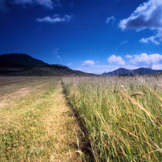 Nature, Italy, region of Abruzzo, 1975 Abruzzo Natural Park natural reserve.