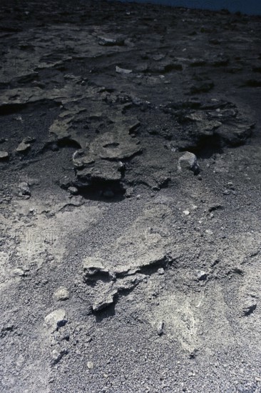 Nature, Italy, region of Campania, 1975 Vesuvius volcano.