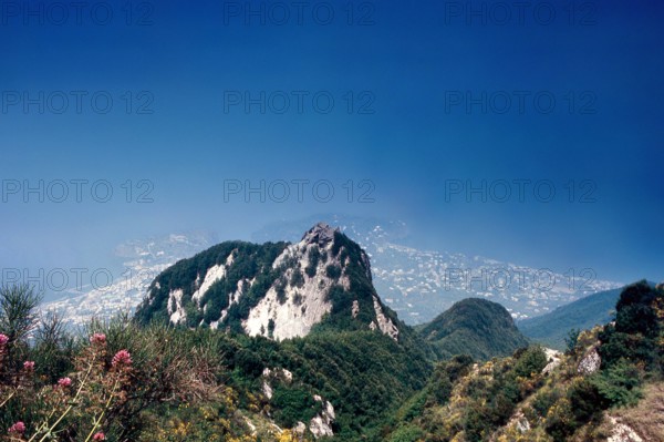 Nature, Italy, region of Campania, 1975 Ischia Monte Epomeo.