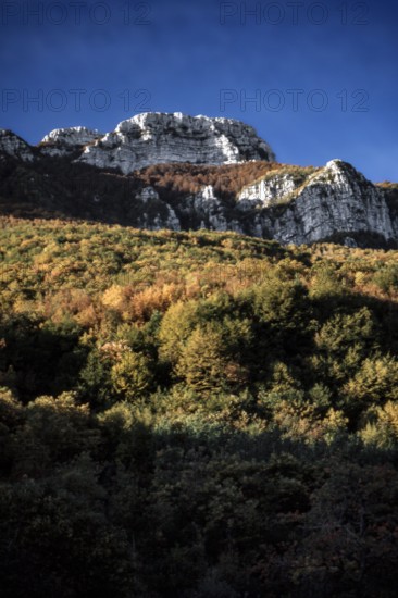 Nature, Italy, region of Basilicata, 1975  Alburni Mountains Regional Park.