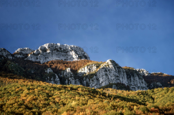 Nature, Italy, region of Basilicata, 1975  Alburni Mountains Regional Park.