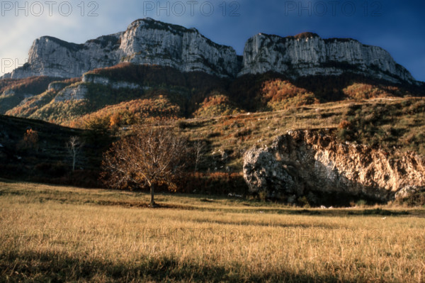 Nature, Italy, region of Basilicata, 1975  Alburni Mountains Regional Park.