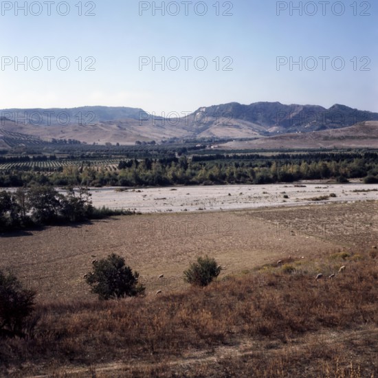 Nature, Italy, region of Basilicata-Calabria 1975 Mouth of the river Crati Regional Park.