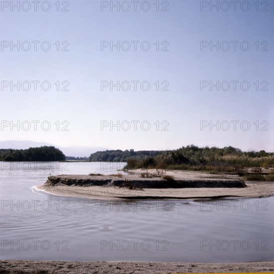 Nature, Italy, region of Basilicata-Calabria 1975 Mouth of the river Crati Regional Park.