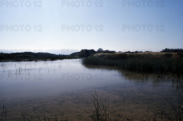 Nature, Italy, region of Basilicata-Calabria 1975 Mouth of the river Crati Regional Park.
