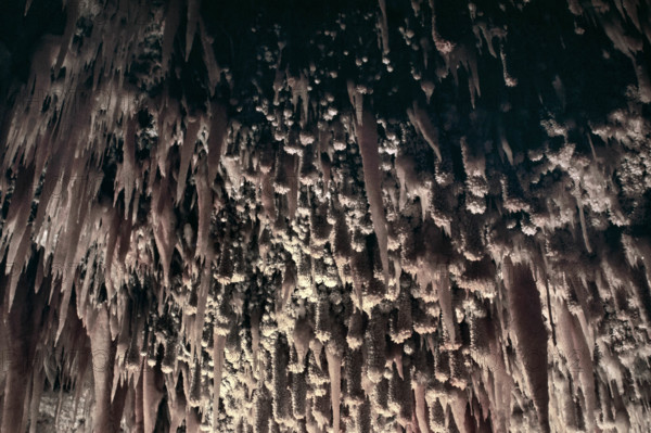 Nature, Italy, region of Puglia 1975 Grotte di Catellana (Castellana caves).