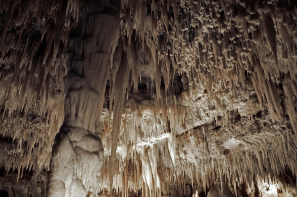 Nature, Italy, region of Puglia 1975 Grotte di Catellana (Castellana caves).