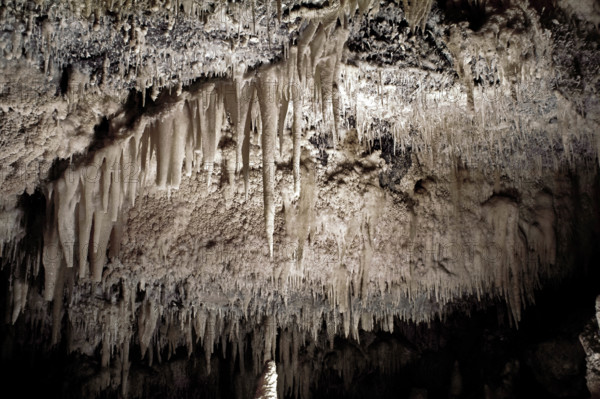 Nature, Italy, region of Puglia 1975 Grotte di Catellana (Castellana caves).