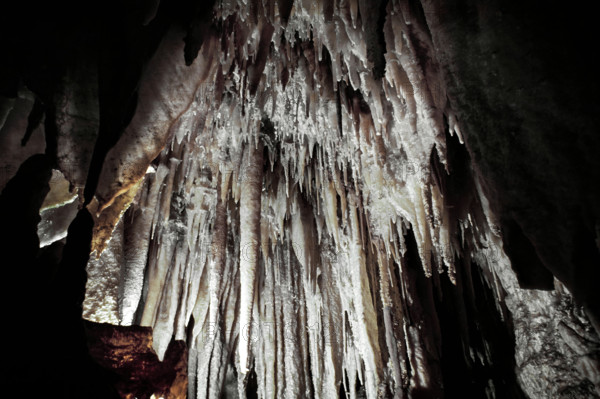 Nature, Italy, region of Puglia 1975 Grotte di Catellana (Castellana caves).
