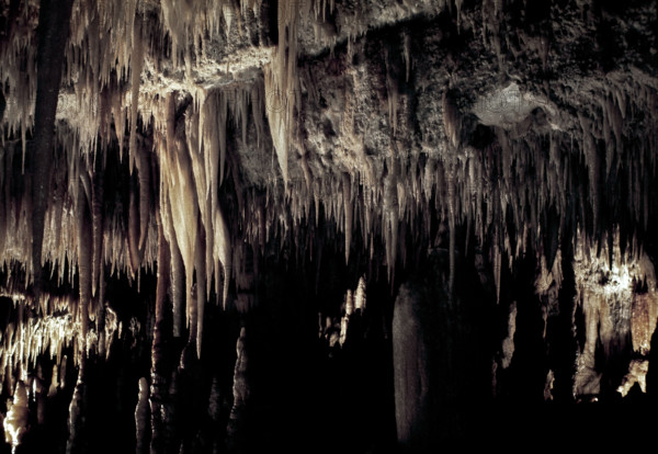 Nature, Italy, region of Puglia 1975 Grotte di Catellana (Castellana caves).