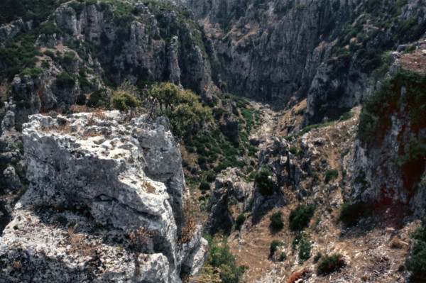 Nature, Italy, region of Puglia 1975 Gravina di Castellaneta.