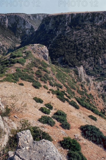 Nature, Italy, region of Puglia 1975 Gravina di Laterza.