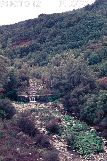 Nature, Italy, region of Puglia 1975 Valle del Celone (Celone Valley).