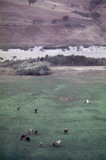 Nature, Italy, region of Puglia 1975 Valle del Celone (Celone Valley).