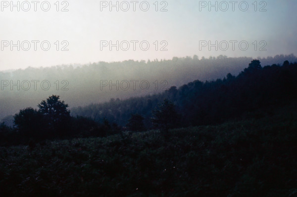 Nature, Italy, region of Puglia 1975 Foresta Umbra.