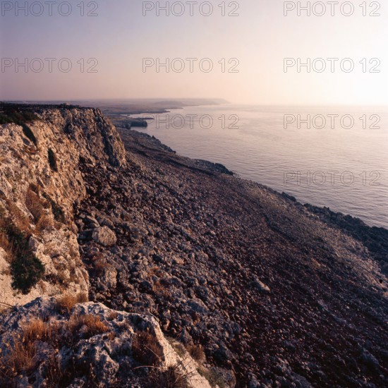 Nature, Italy, region of Puglia 1975 Costa del Salento (Salento coast).