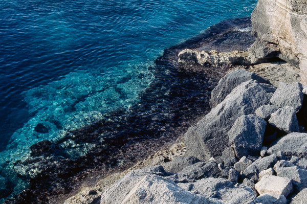 Nature, Italy, region of Puglia 1975 Costa del Salento (Salento coast).