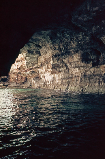 Nature, Italy, region of Puglia 1975 Costa del Salento (Salento coast).