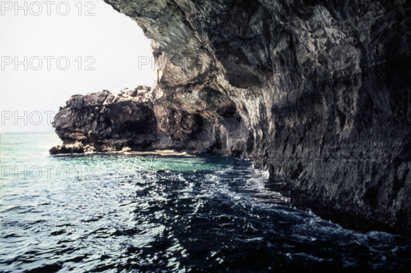 Nature, Italy, region of Puglia 1975 Costa del Salento (Salento coast).