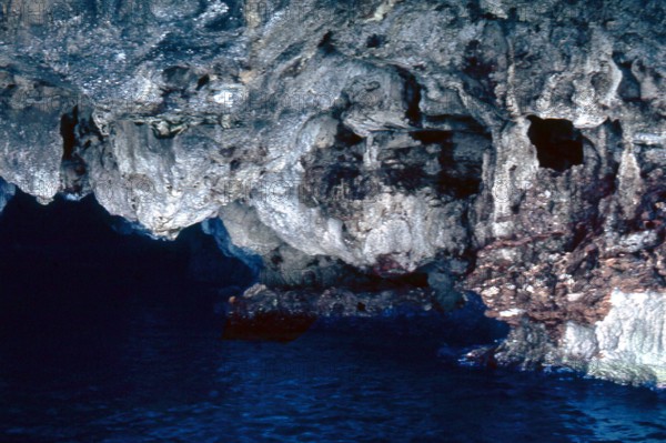 Nature, Italy, region of Puglia 1975 Costa del Salento (Salento coast).