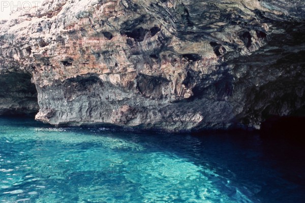 Nature, Italy, region of Puglia 1975 Costa del Salento (Salento coast).