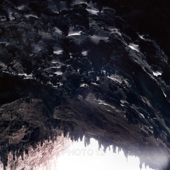 Nature, Italy, region of Puglia 1975 Costa del Salento-Grotta Zinzulusa (Salento coast- Zinzulusa cave).