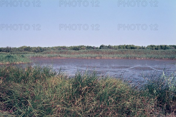 Nature, Italy, region of Puglia 1975 Lago di Salinella (Salinella lake).