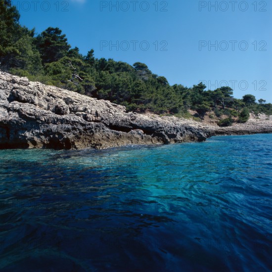 Nature, Italy, region of Puglia 1975 Isole Tremiti (Tremiti islands).