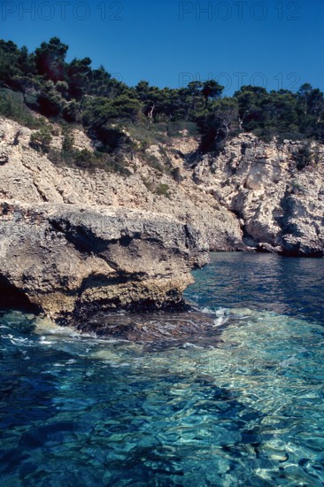 Nature, Italy, region of Puglia 1975 Isole Tremiti (Tremiti islands).