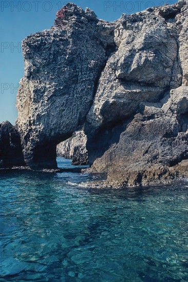Nature, Italy, region of Puglia 1975 Isole Tremiti (Tremiti islands).