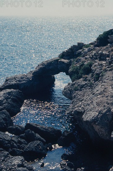 Nature, Italy, region of Puglia 1975 Isole Tremiti (Tremiti islands).